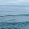 Air laut atau Langit(Atmosfera) Yang Manakah Sebenarnya Berwarna biru?
