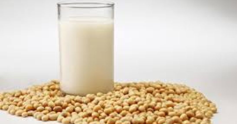 Apakah Khasiat Air Soya