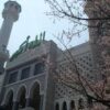 Adakah Agama Islam Berkembang Pesat Di Jepun?