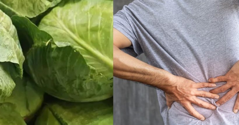 Kenapakah Memakan Kubis Boleh Menyebakan Sakit Urat Badan
