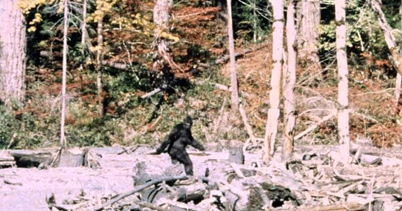Adakah Bigfoot Itu Wujud